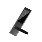 Verrouillage Bluetooth Front Door Lock Ss inteligente eletrônico 304 preto